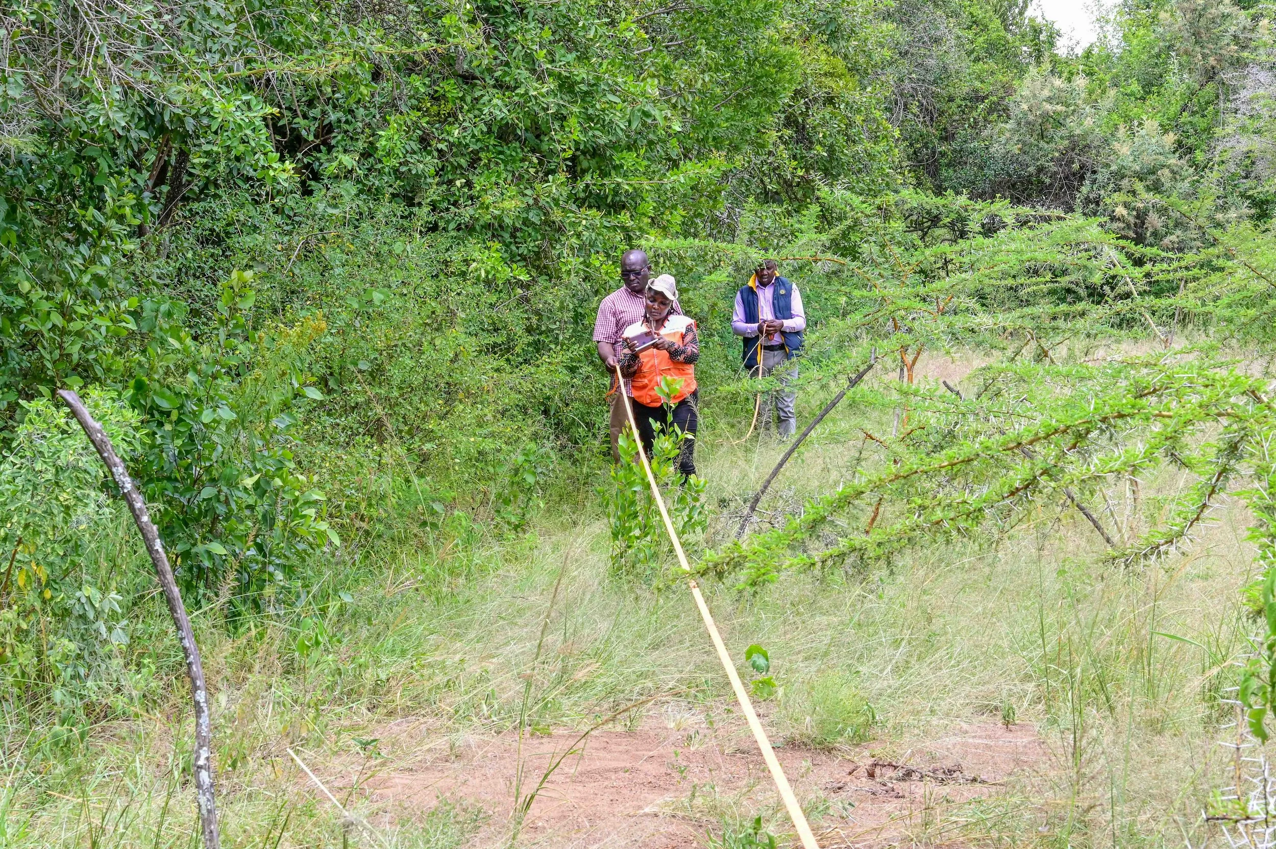 World Vision field team measuring a restoration site in Kenya
