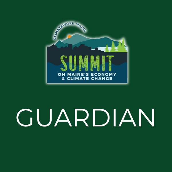 SUMMIT GUARDIAN.png