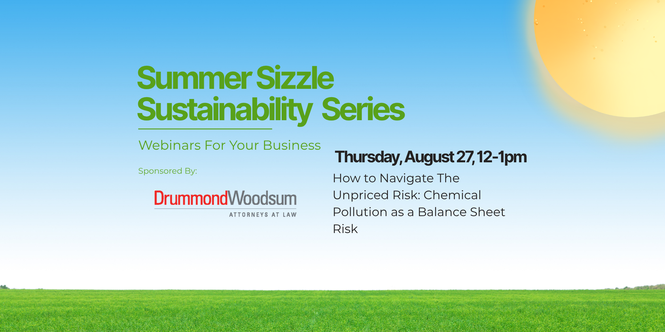 Summer Sustainability Sizzle Webinar: Chemical Pollution Balance Sheet Risk
