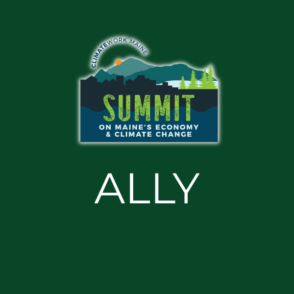 SUMMIT ALLY.png