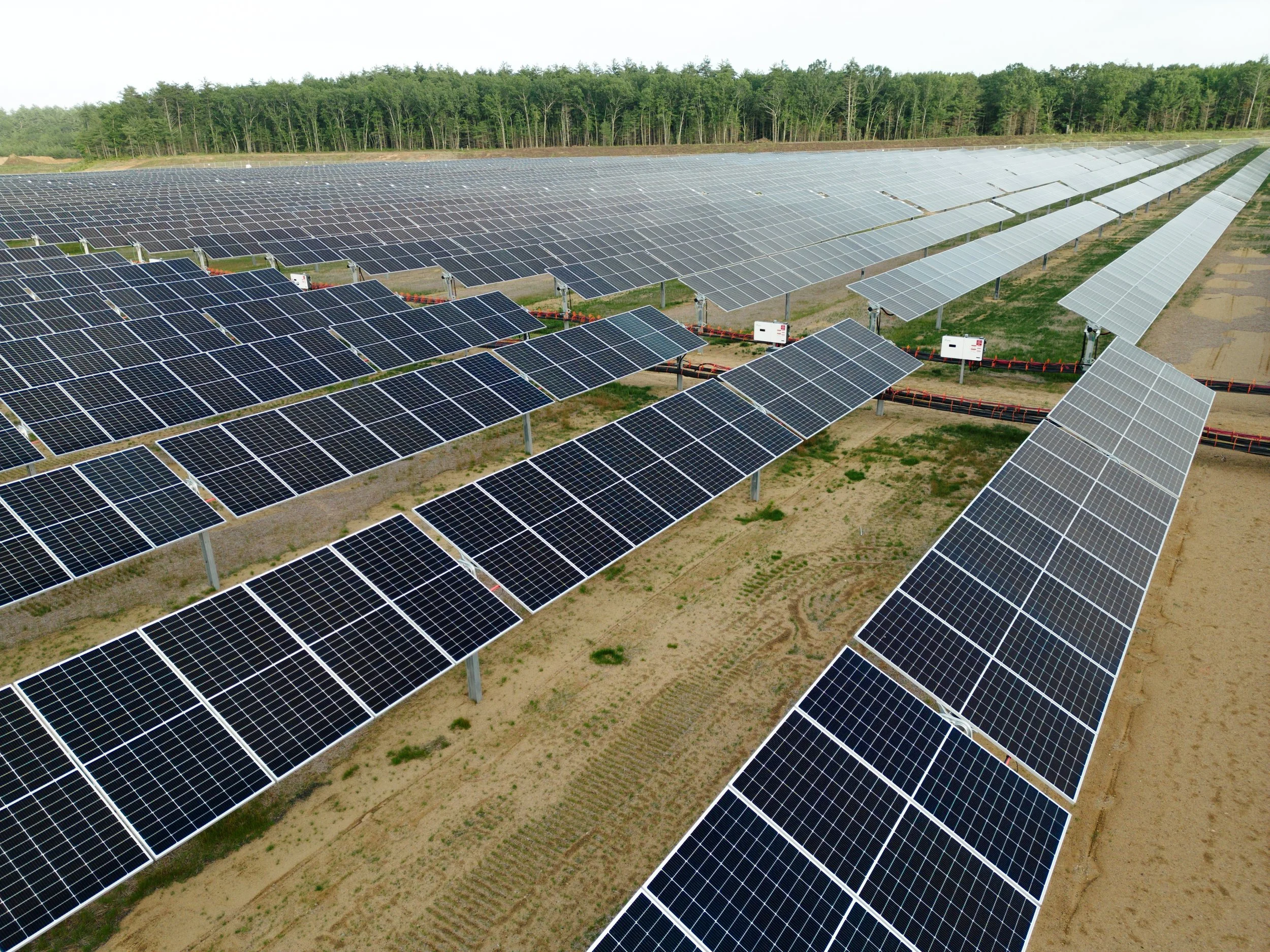 Aerial view of a large solar panel farm with multiple rows of solar panels installed on a grassy and dirt field, backed by a line of trees.