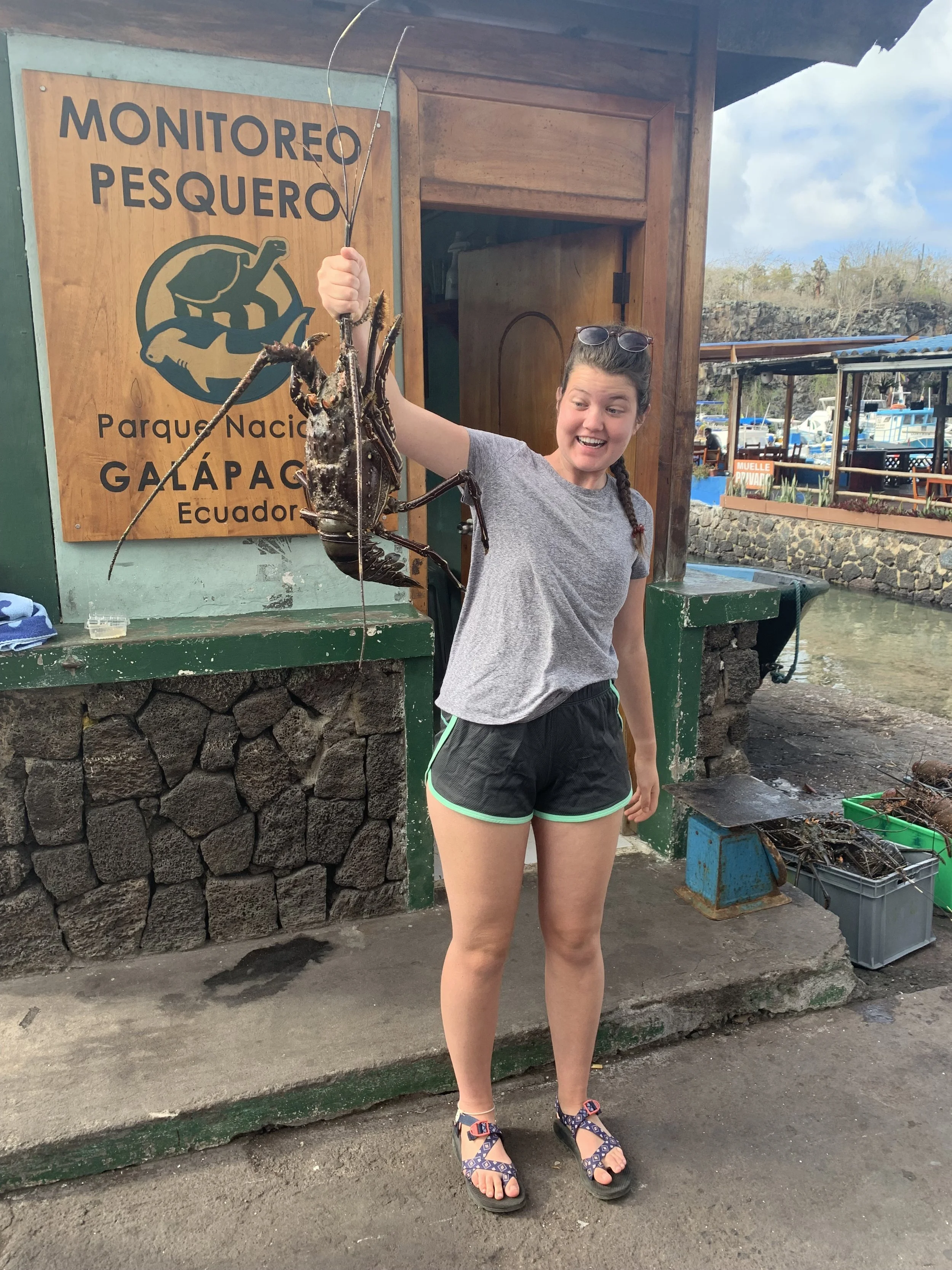 quito EcuadorCopy%20of%20IMG_6522.jpeg