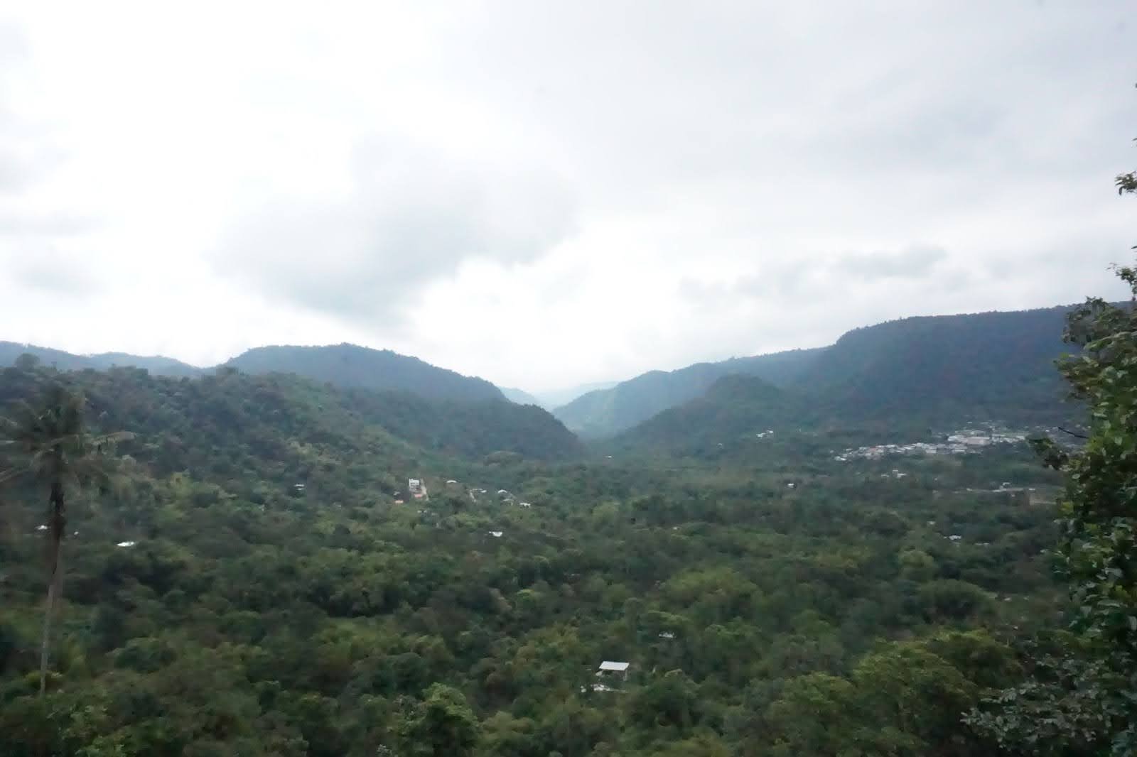 Ecuador biodiversity 1.jpg