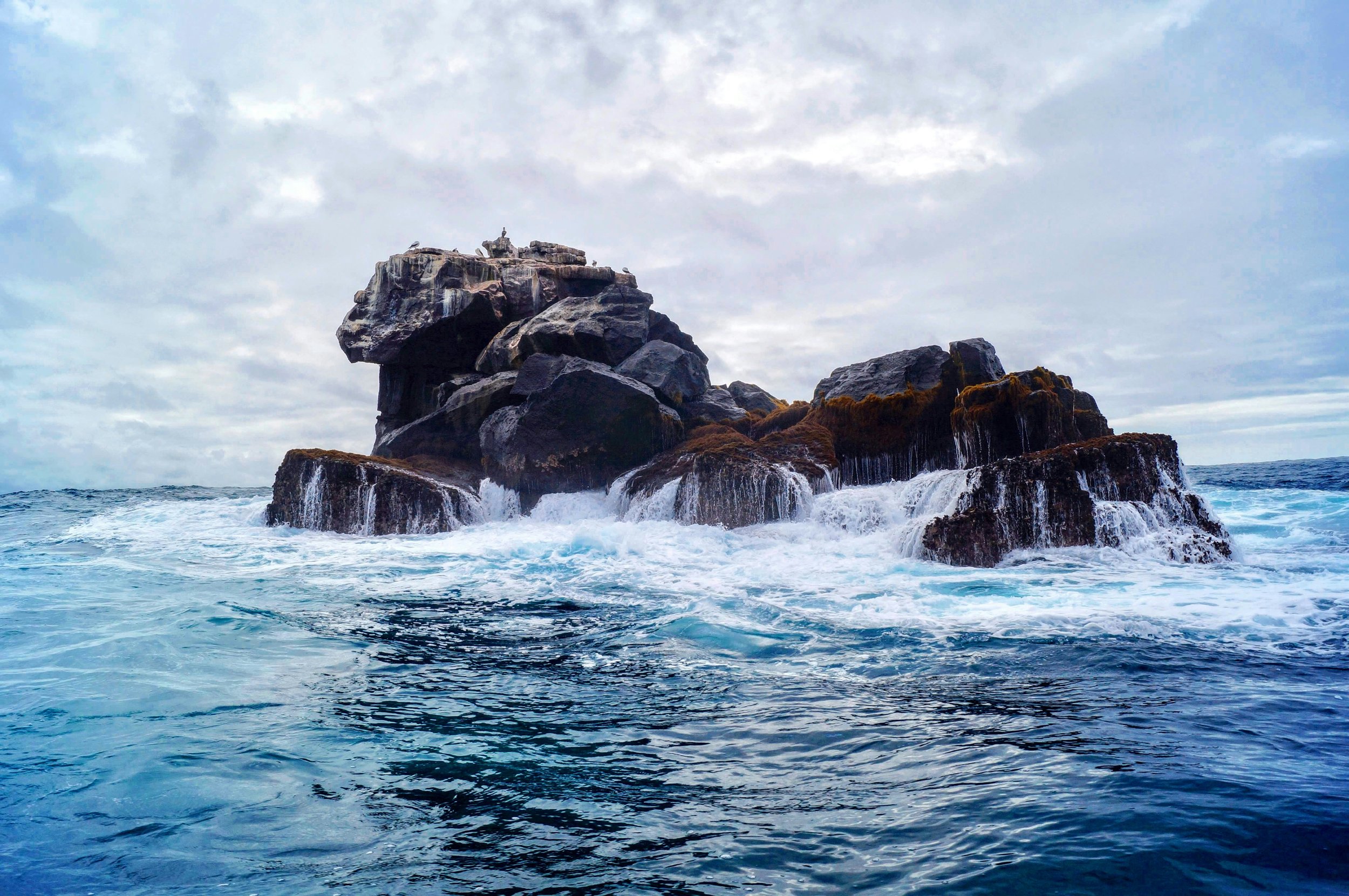 ecuador Experiential Toursmasha-buschujewa-kqh5_9hzAhY-unsplash.jpg