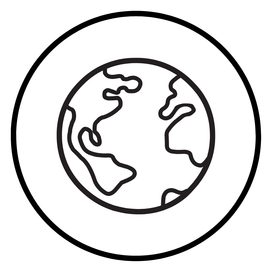 Globe icon