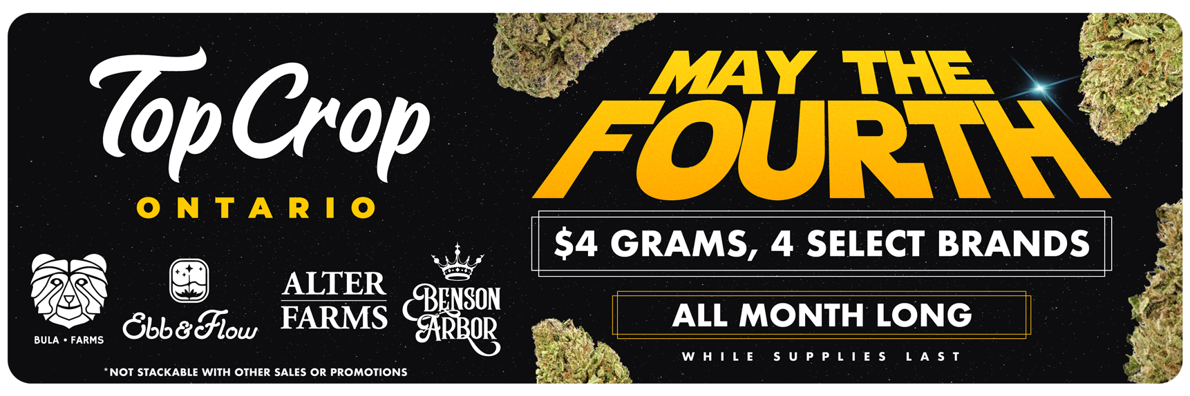 0501-May-The-Fourth-slider-rounded.png