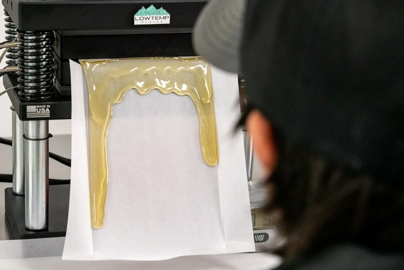 Celebrating 710 in New Mexico: A Concentrate Guide for Top Crop Shoppers