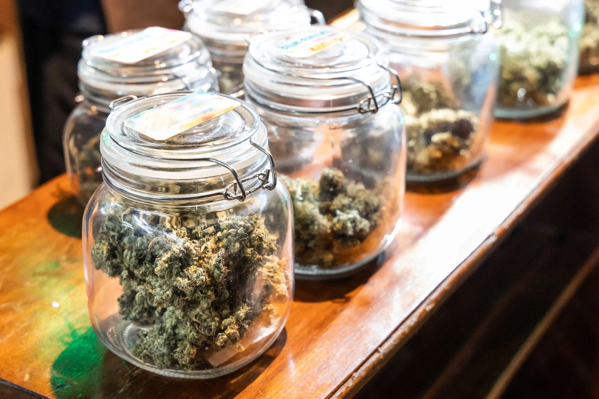 Cannabis Storage Tips for Sunland Park Summers