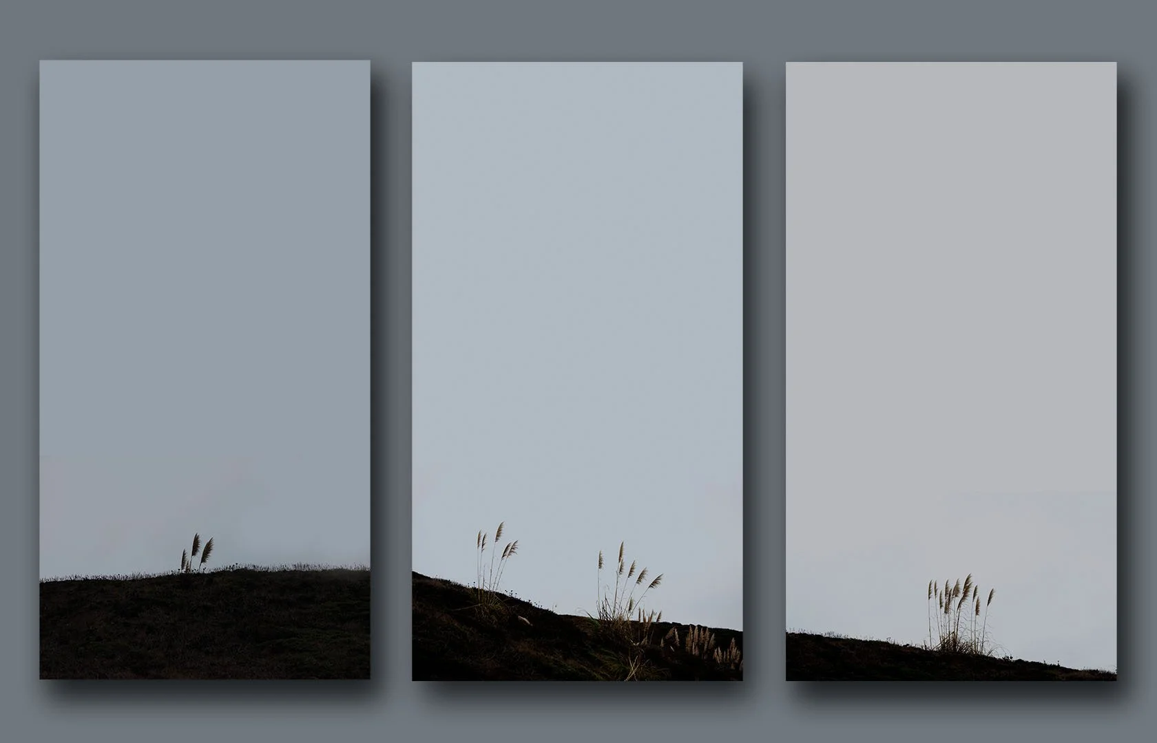 Western Edge Triptych