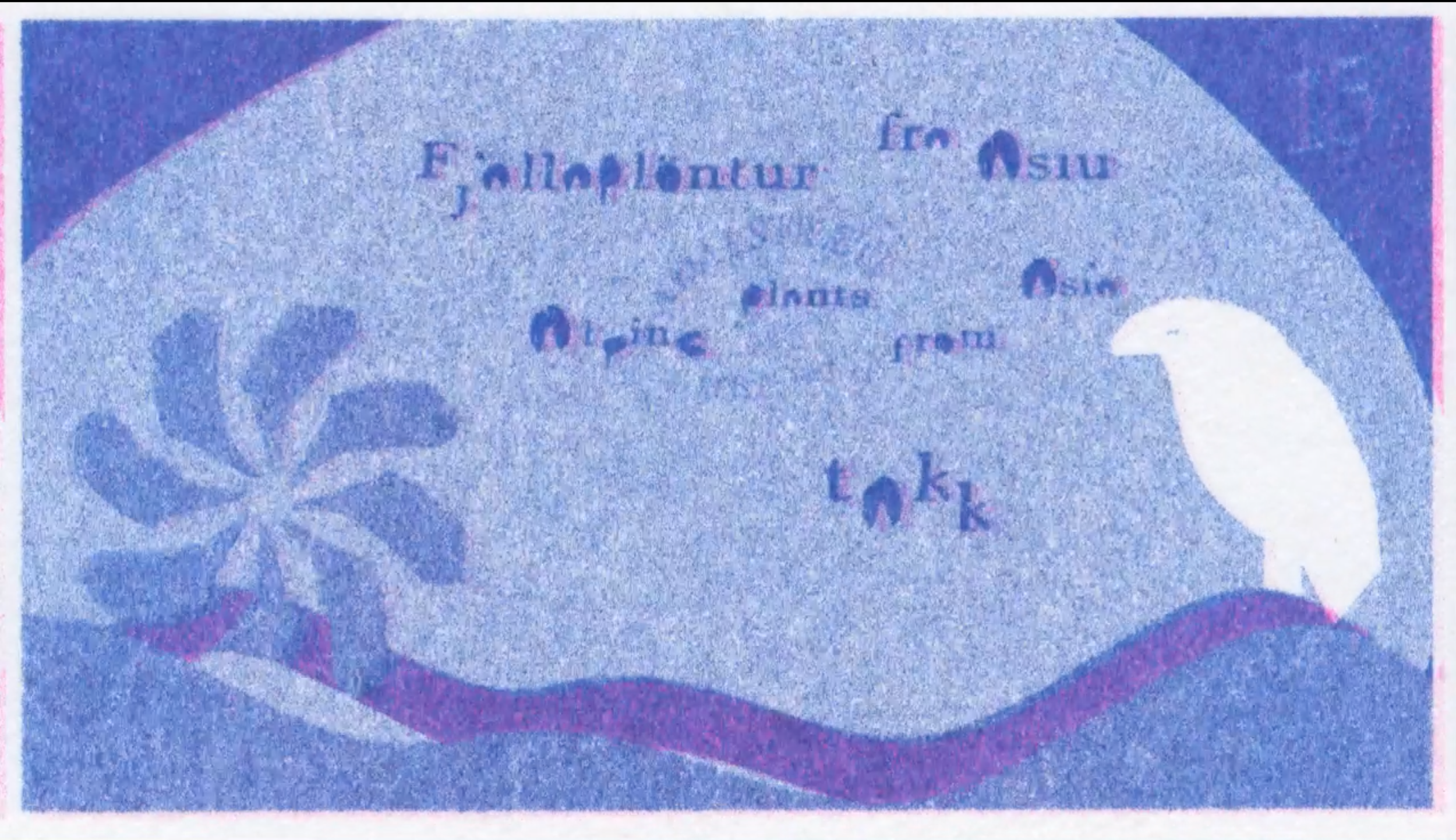 Icelandic Vignette. RISO