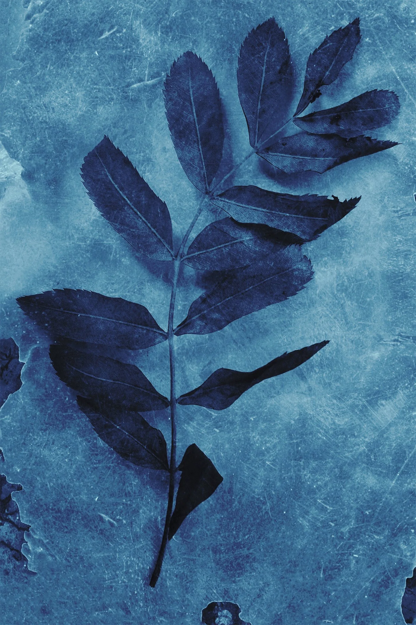 Untitled (Blue Zone) #14