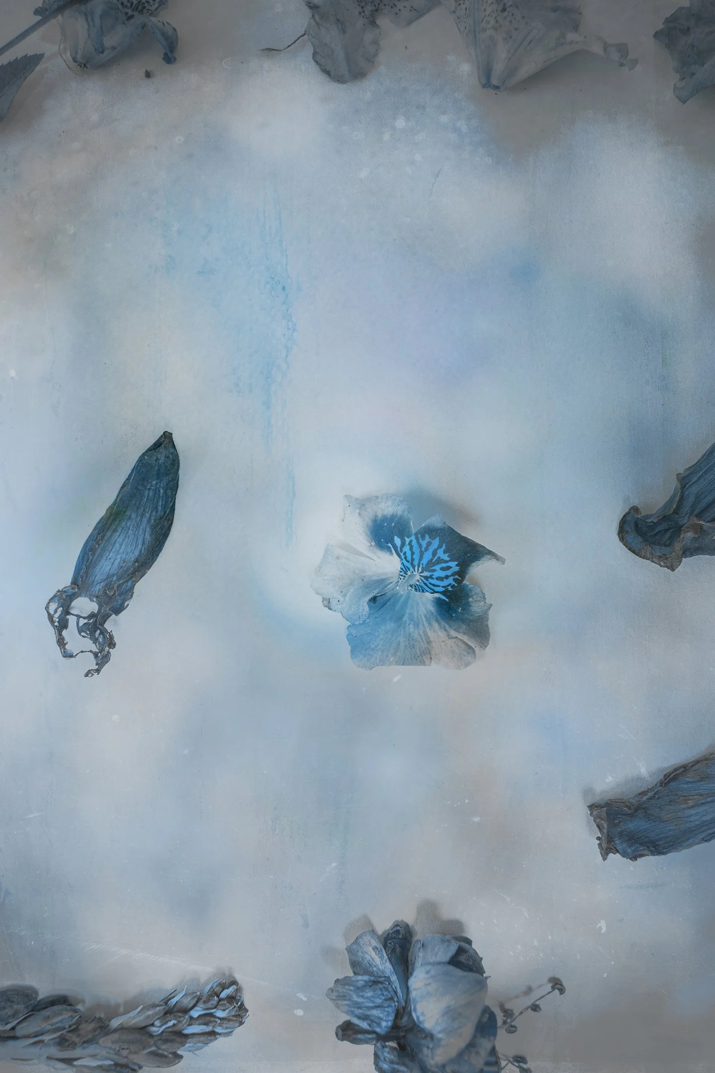 Untitled (Tranquility) #11