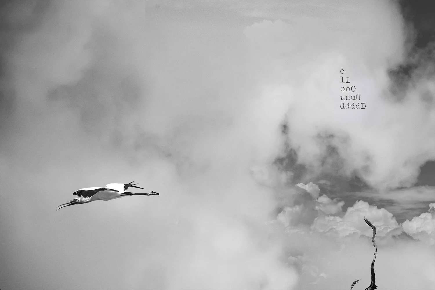 Only The Sky