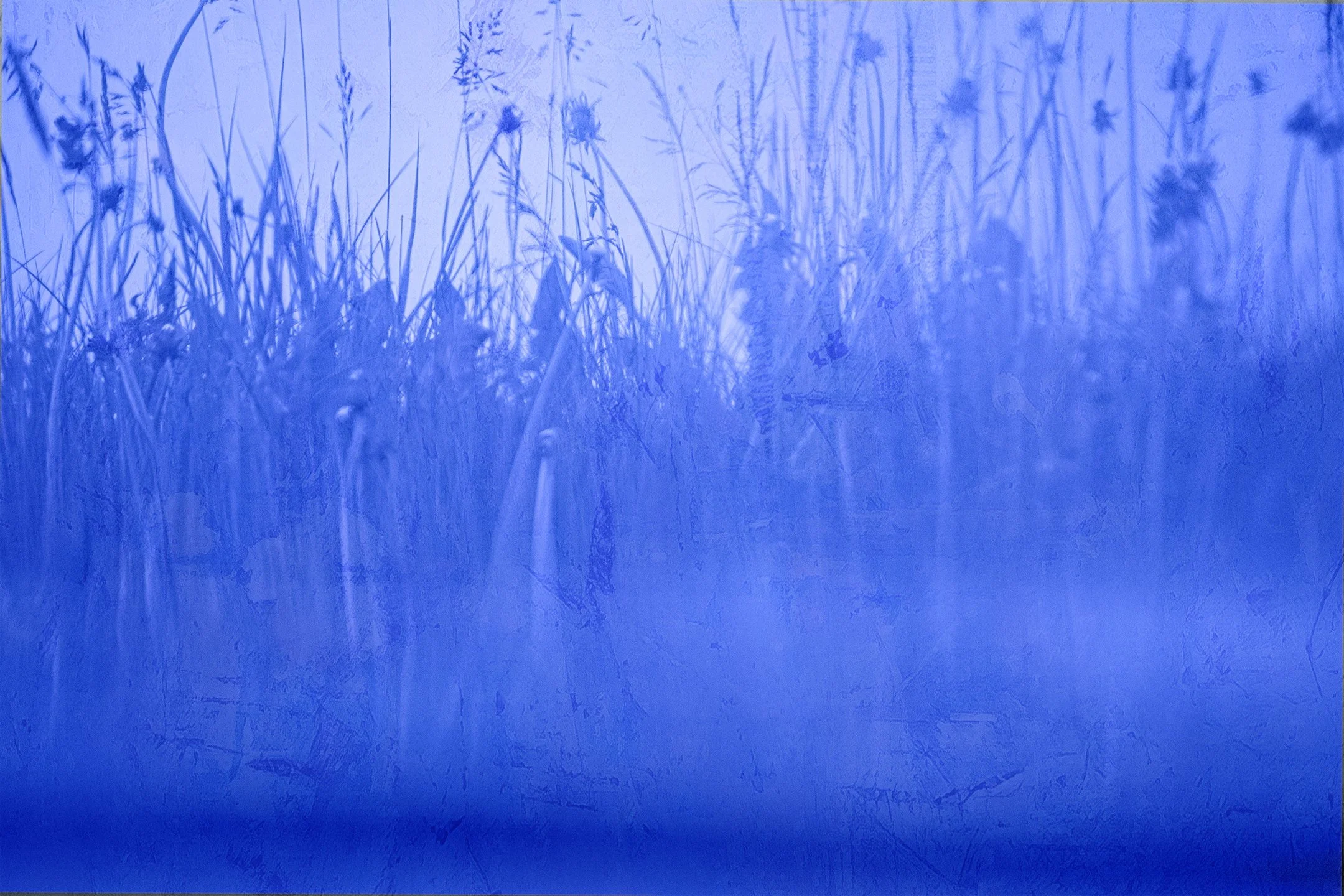 Untitled (Blue Zone) #9