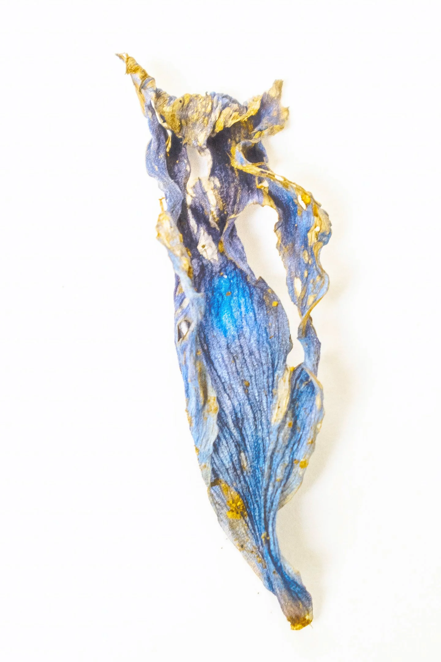 Untitled (Tranquility) #8