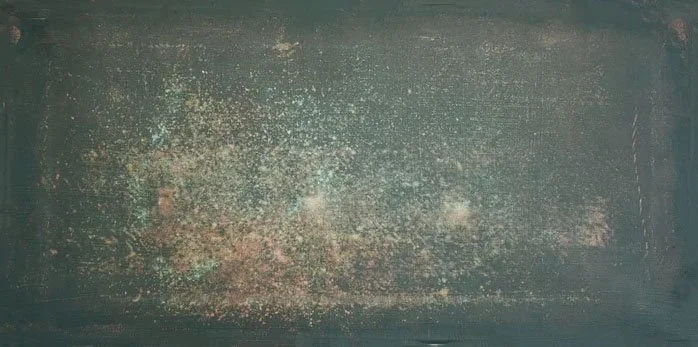 Octopus Garden, Acrylic on canvas, 9.75 x 20 in, 2025
