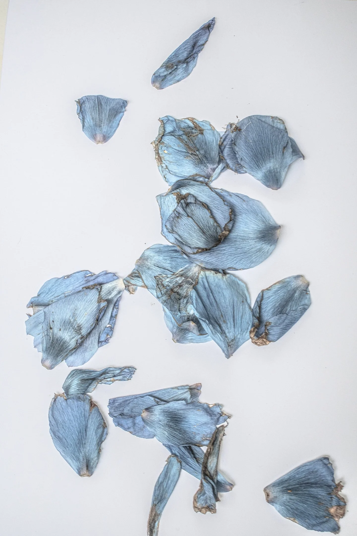 Untitled (Tranquility) #10