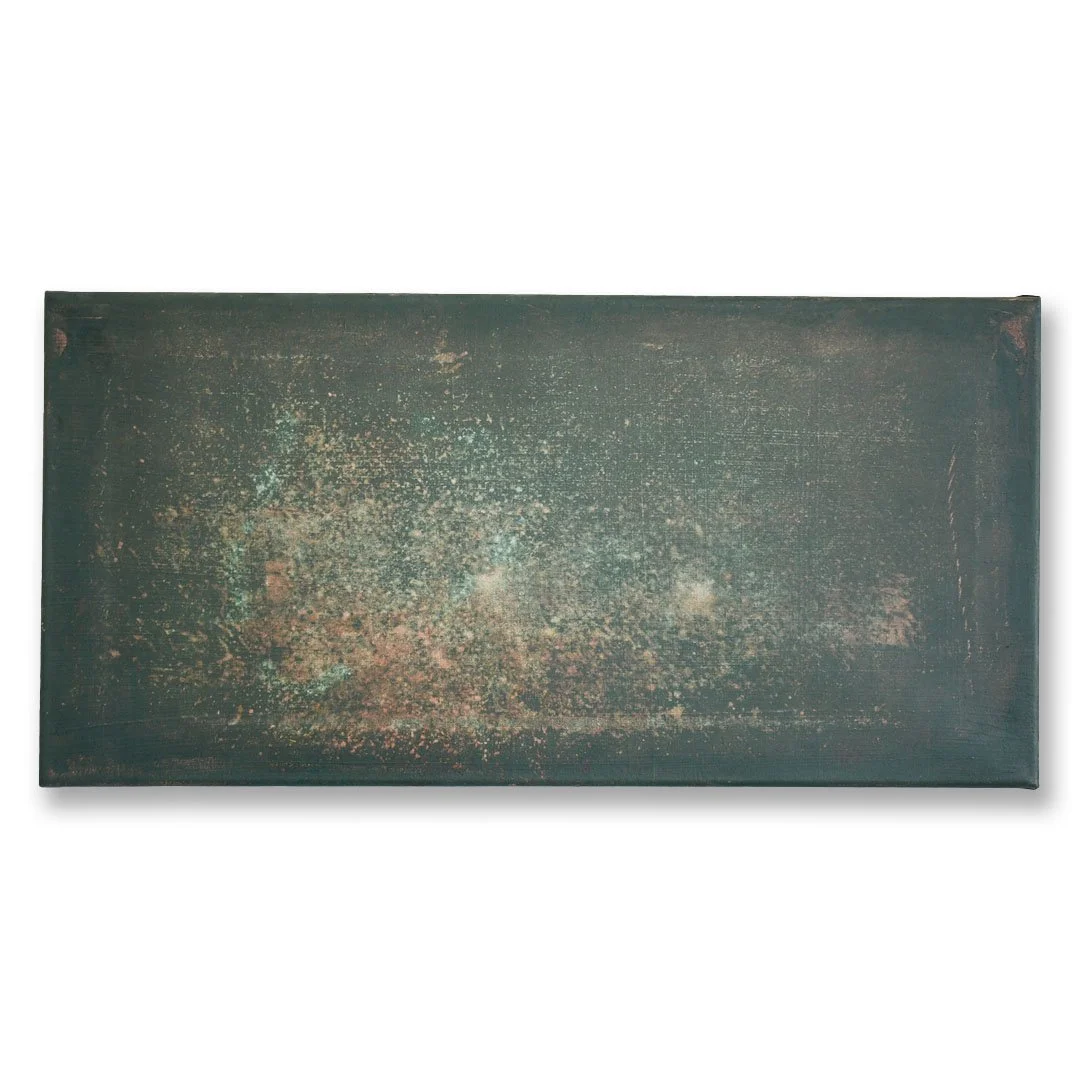 Octopus Garden, Acrylic on canvas, 9.75 x 20 in, 2025