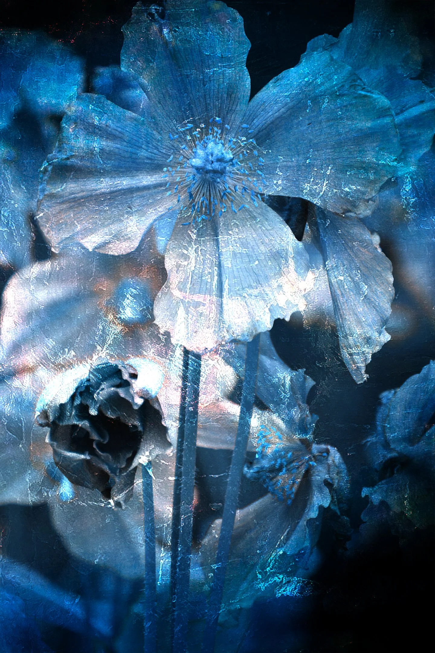 Untitled (Blue Zone) #13