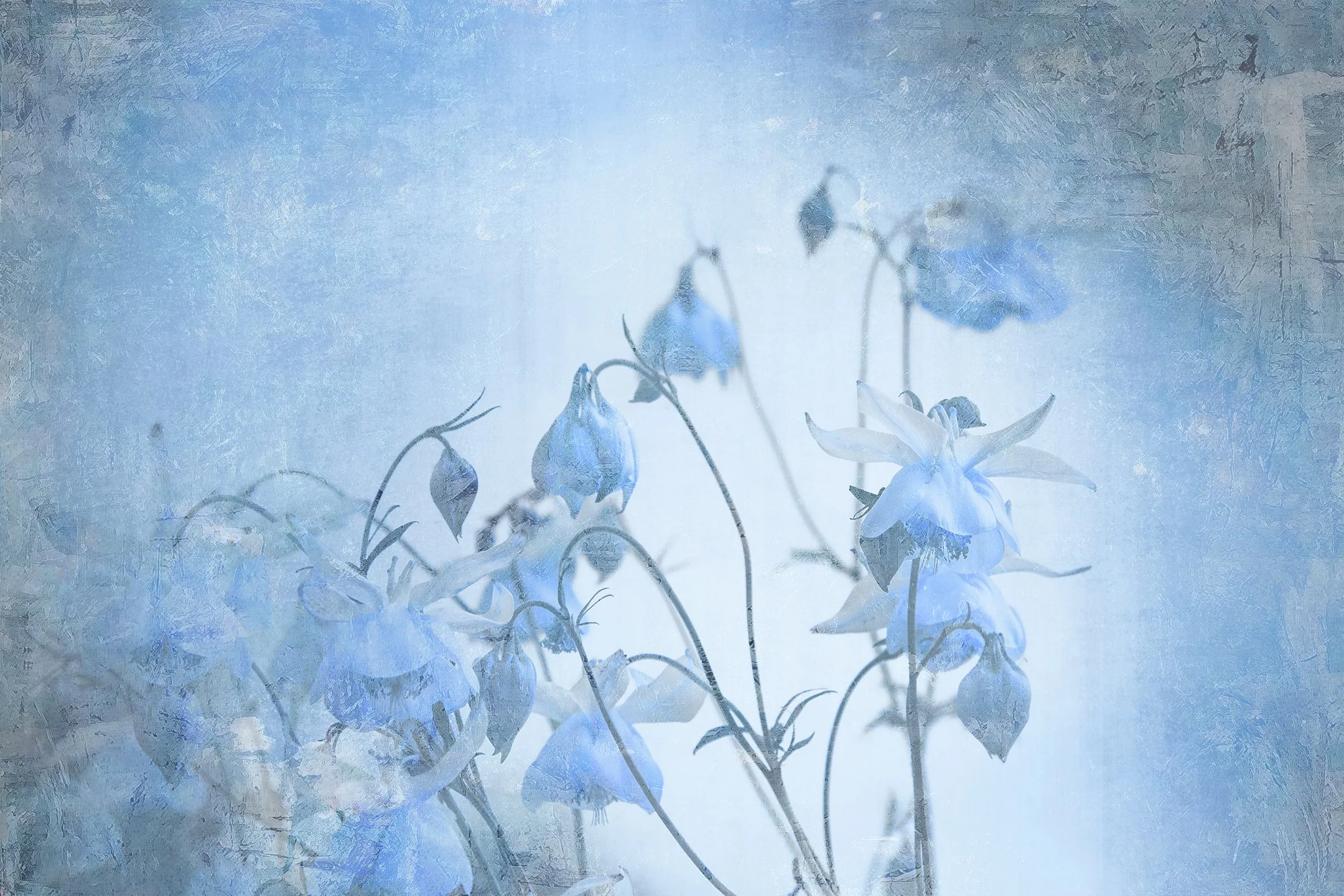 Untitled (Blue Zone) #1