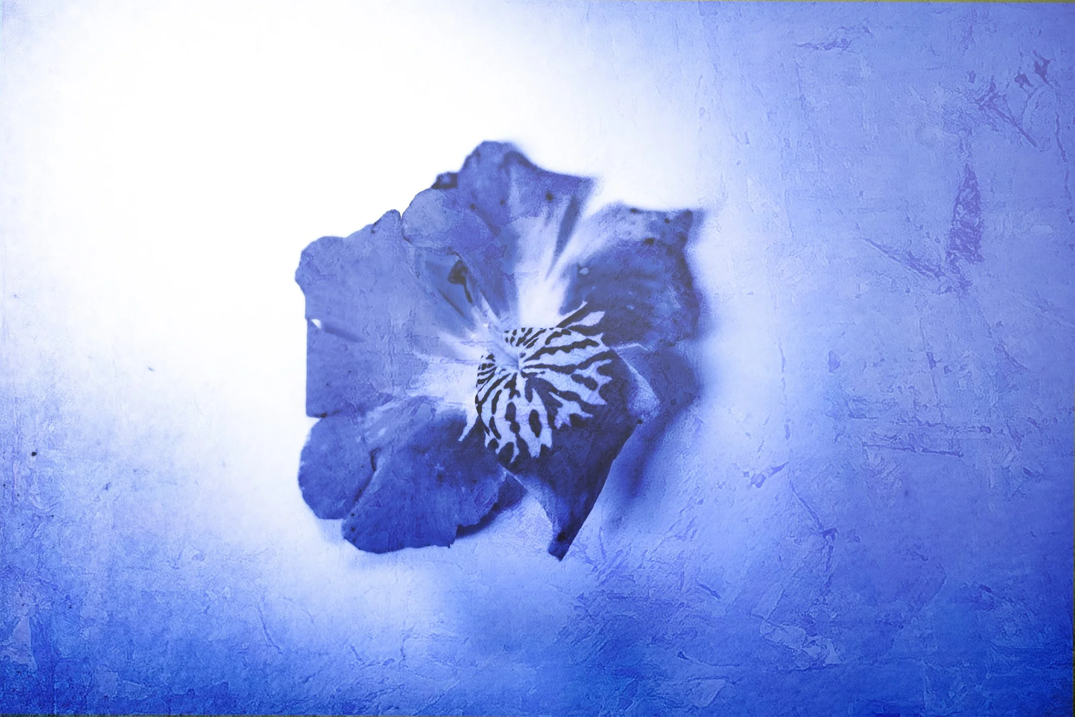 Untitled (Blue Zone) #8