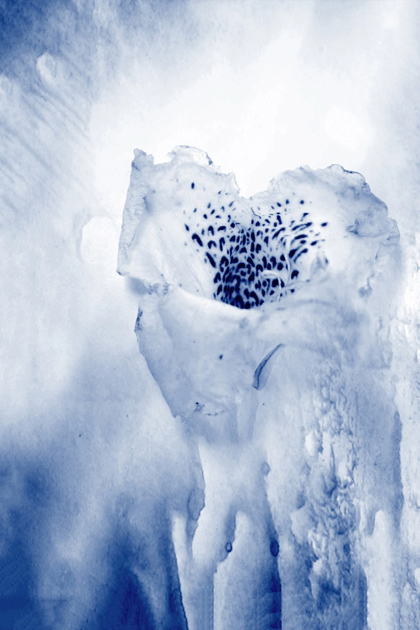 Untitled (Blue Zone) #5