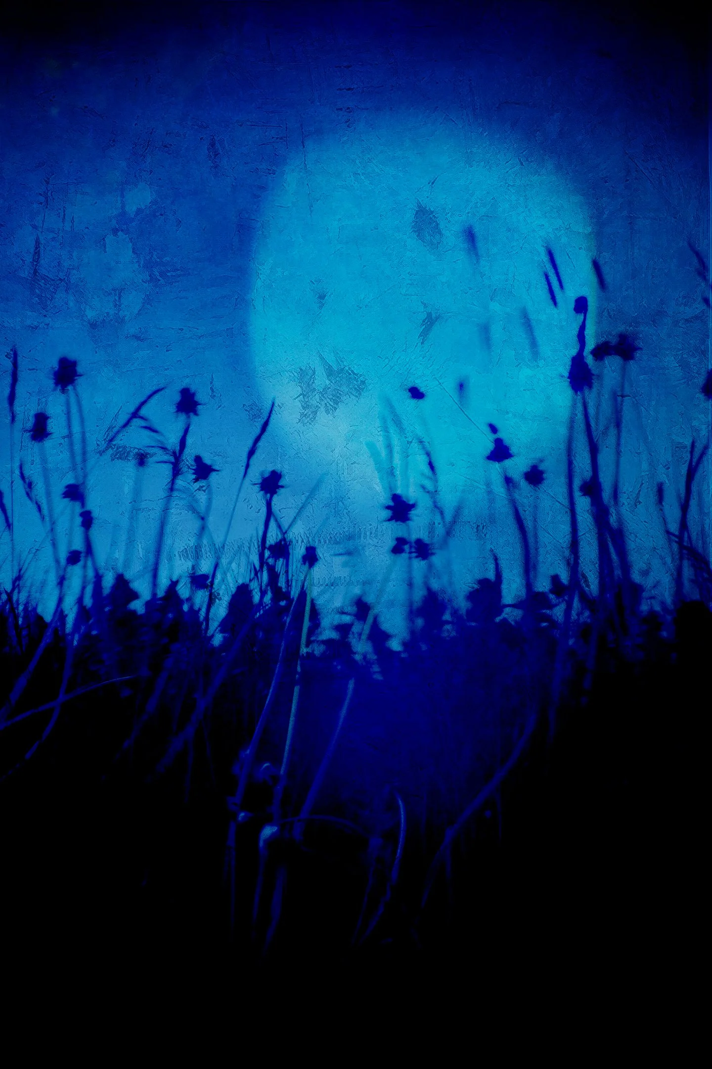 Untitled (Blue Zone) #10