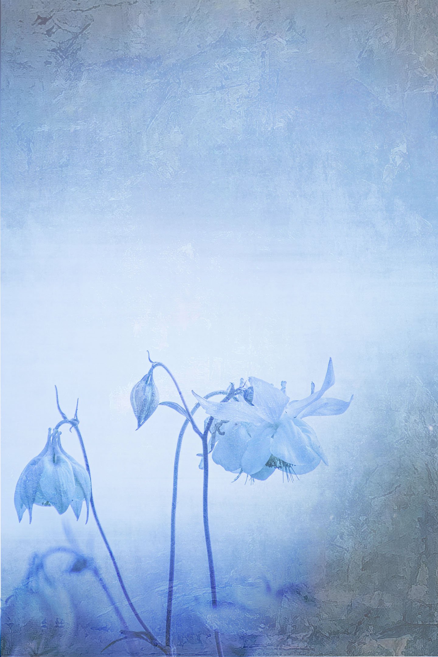 Untitled (Blue Zone) #2