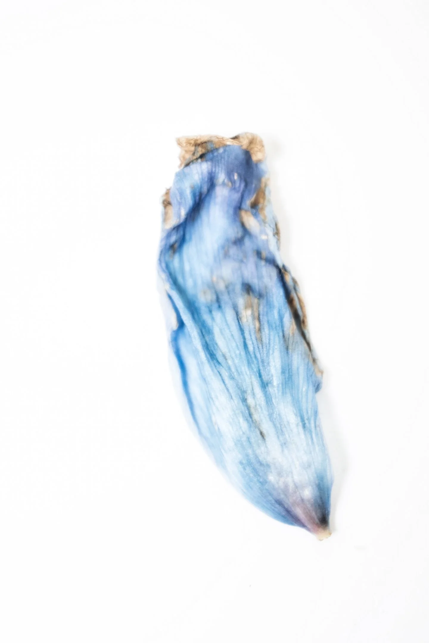 Untitled (Tranquility) #7