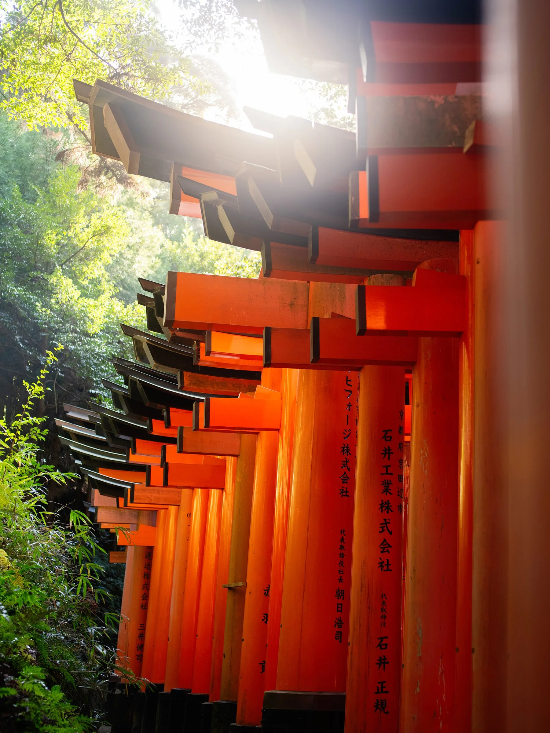 Japan-8465sm.jpg