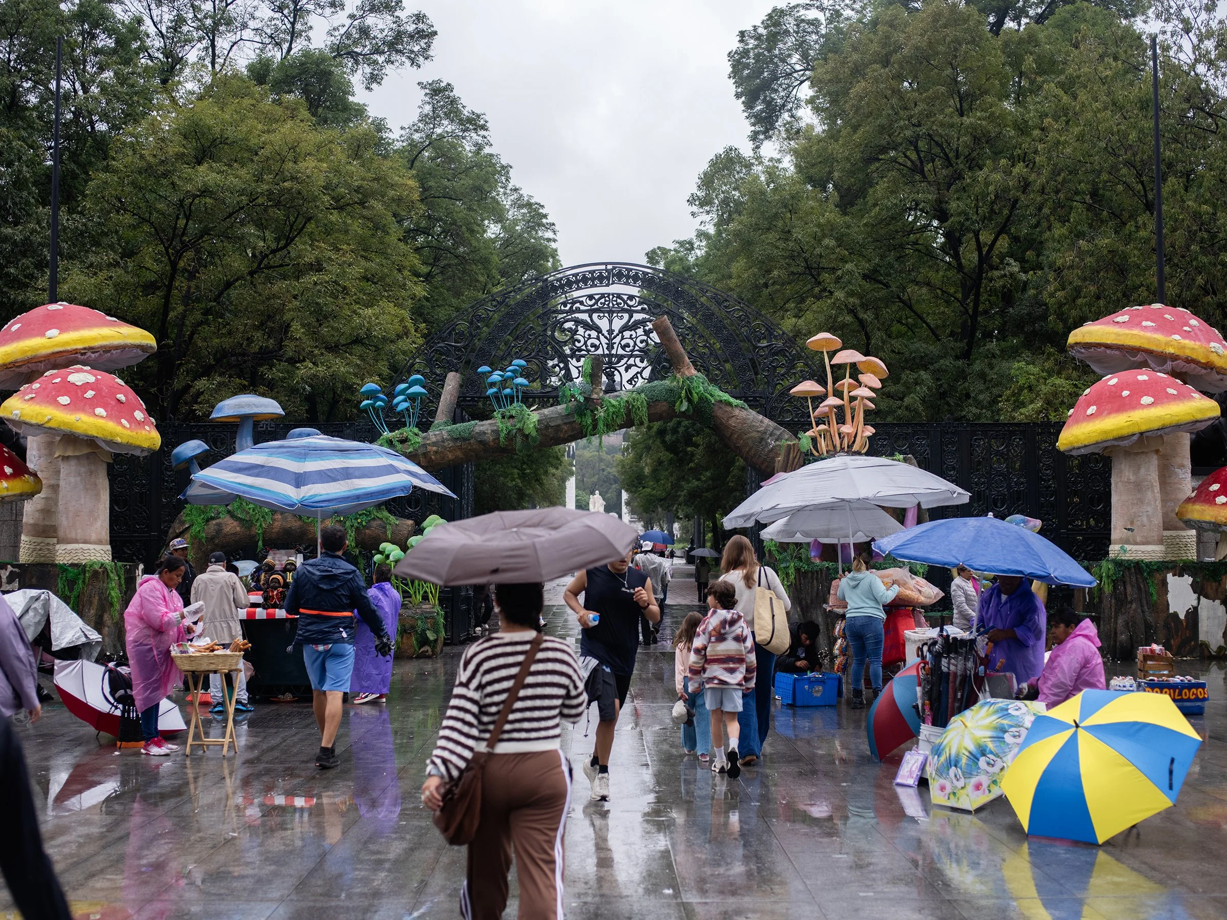 MexicoCity-IMGP7715sm.jpg