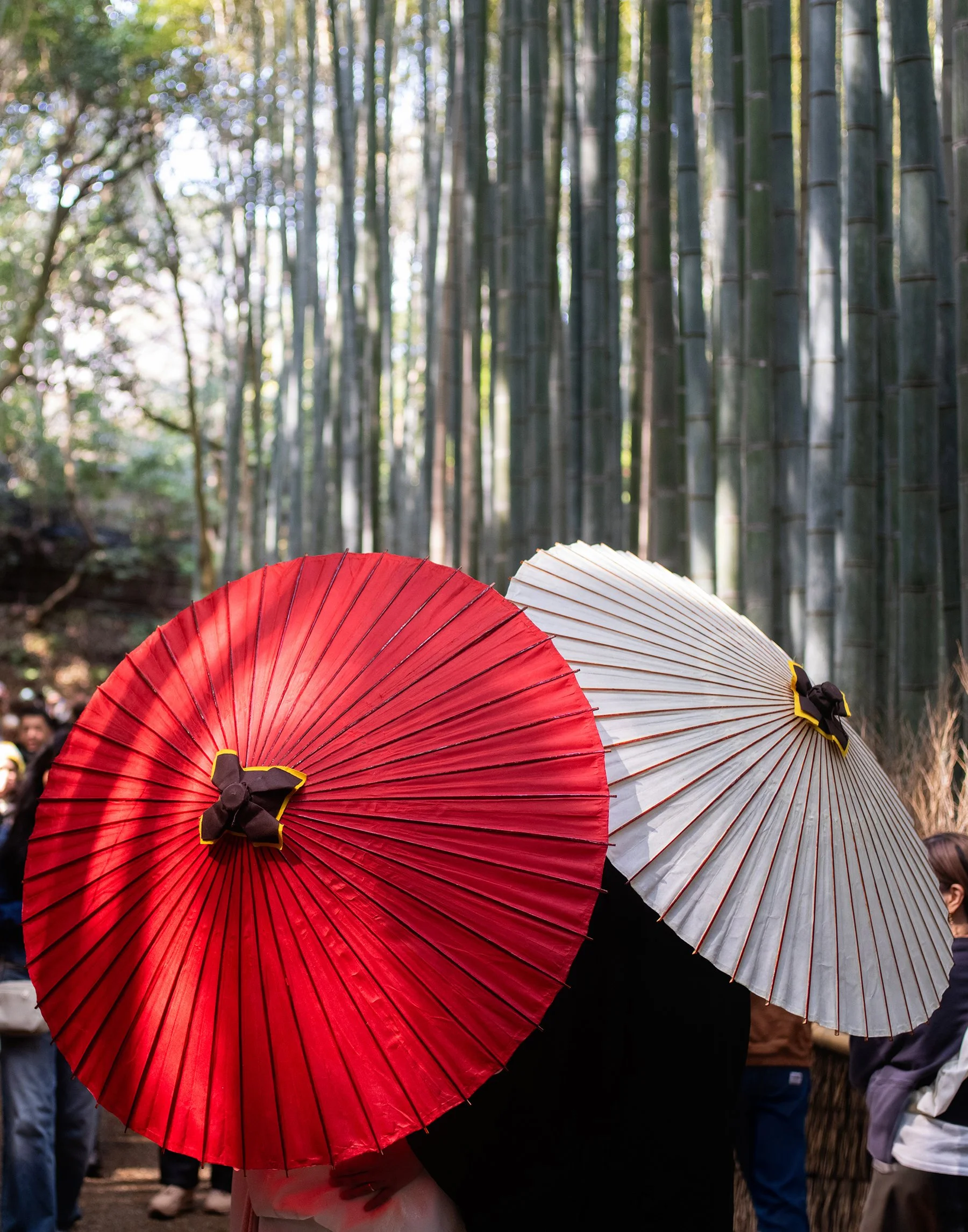 Japan-8286sm.jpg