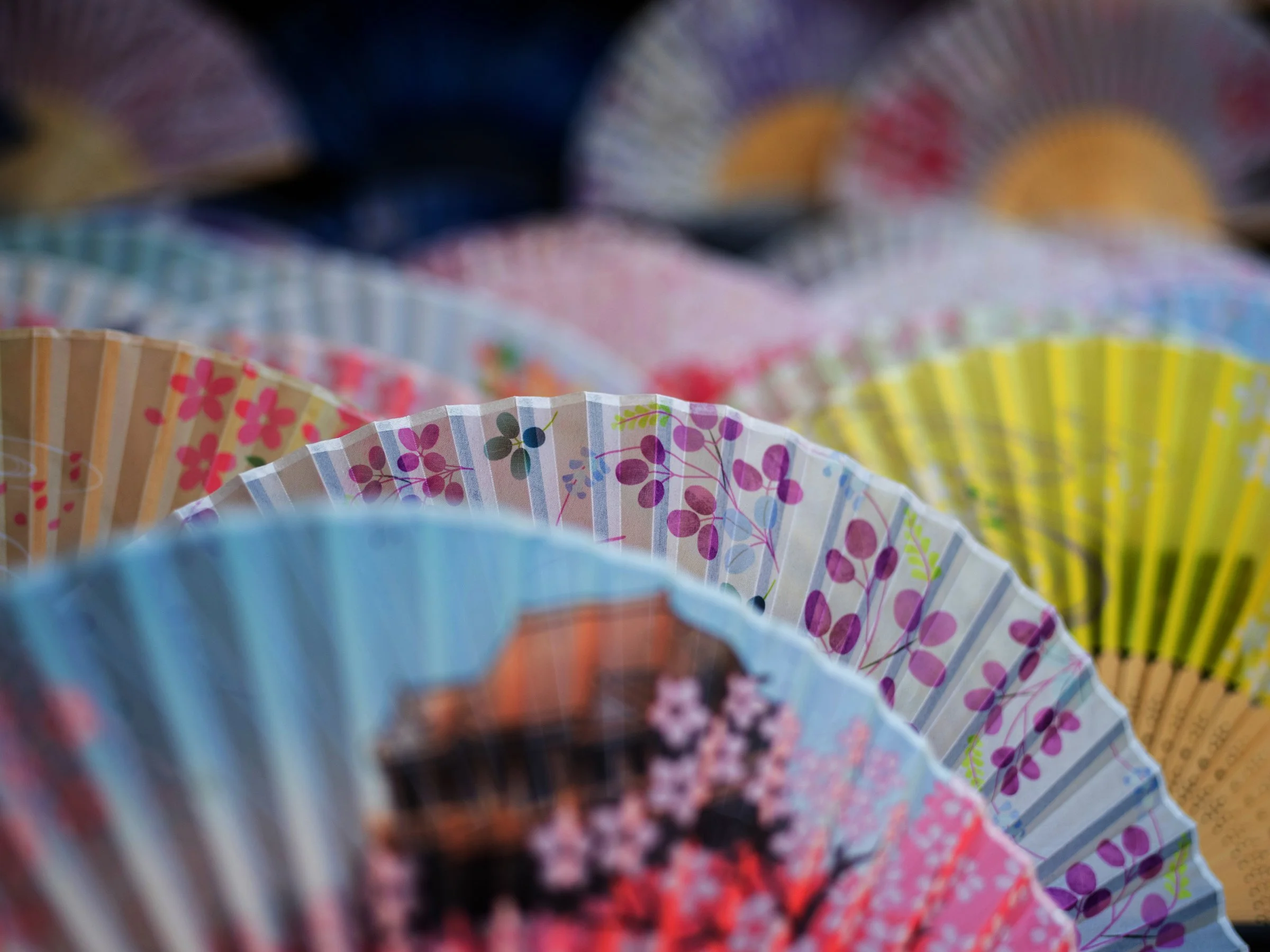 Japan-8442sm.jpg