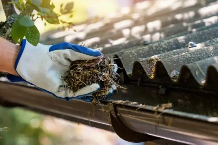 Does Homeowners Insurance Cover Gutters?