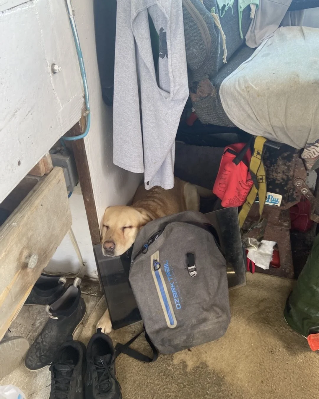 Maya has the Life !!