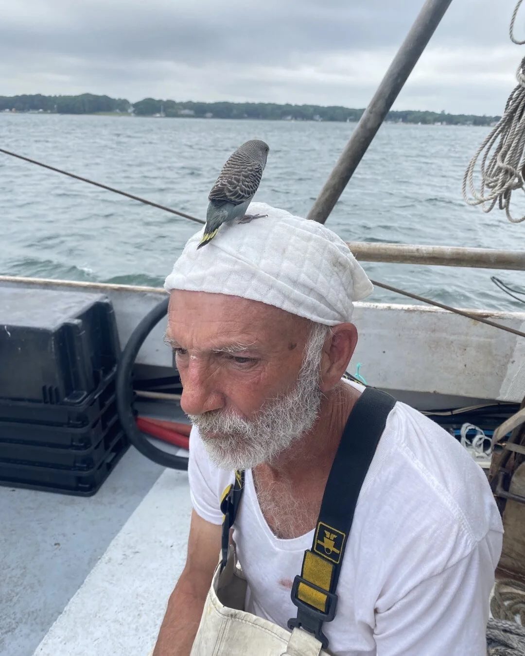 What do you think? Looking for a good caption the best one gets a dozen oysters 🦪🦪