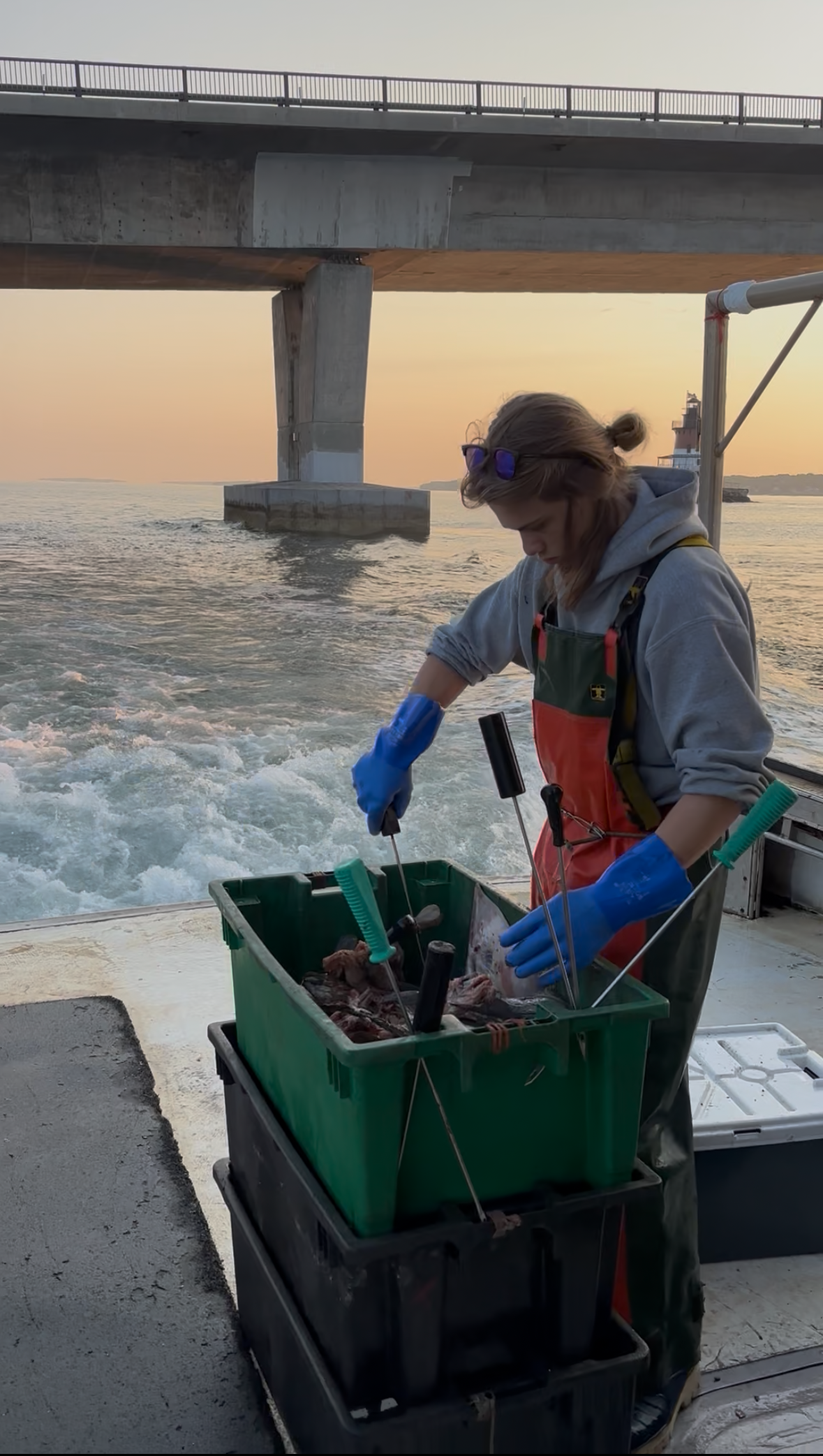 A woman wearing blue gloves and a gray hoodie, working on a boat at sunset, preparing fish in a green container under a bridge over the water.