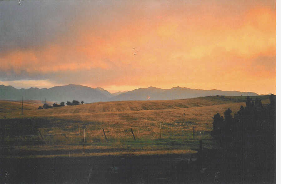 scan0003.jpg