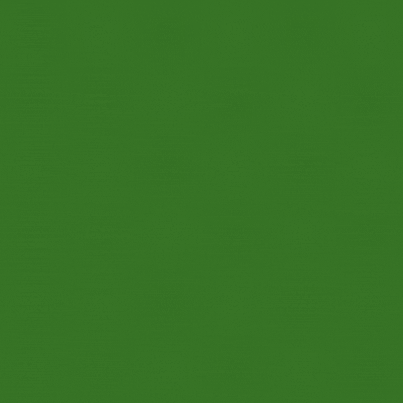 rf_wordmark_800x800_v14_Black_Green.gif