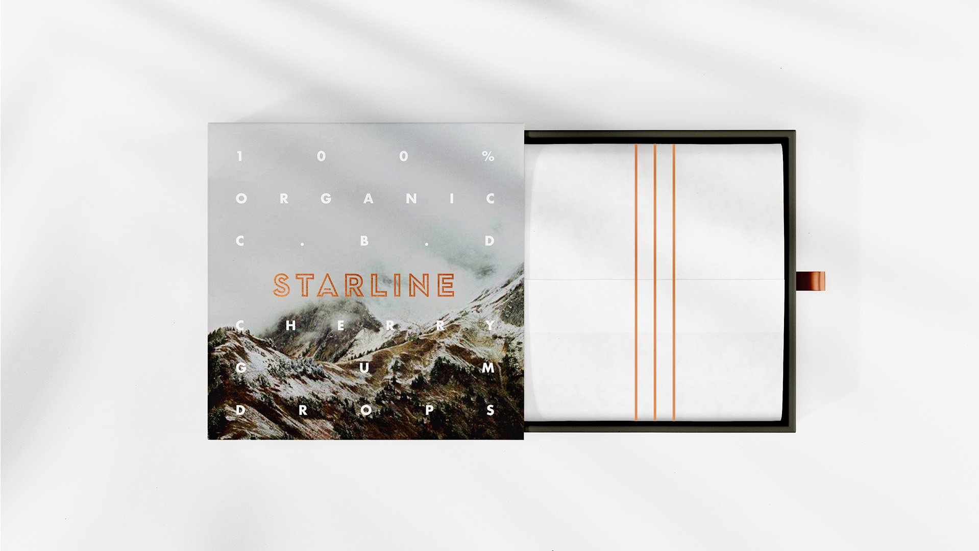 SEAN_LOPANO_STARLINE_08.jpg