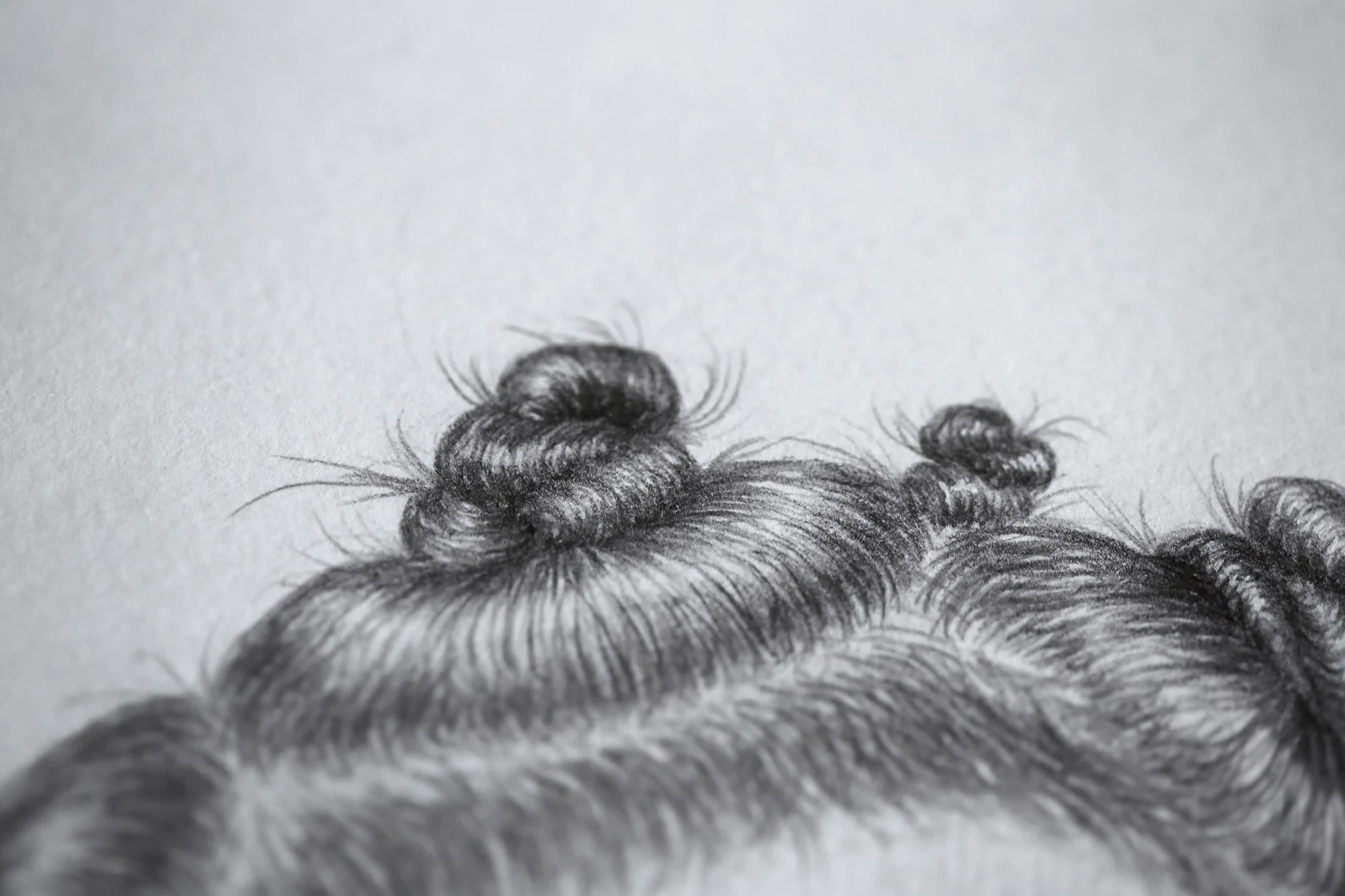 12-Cry Baby - Björk Detail 3-min.jpg