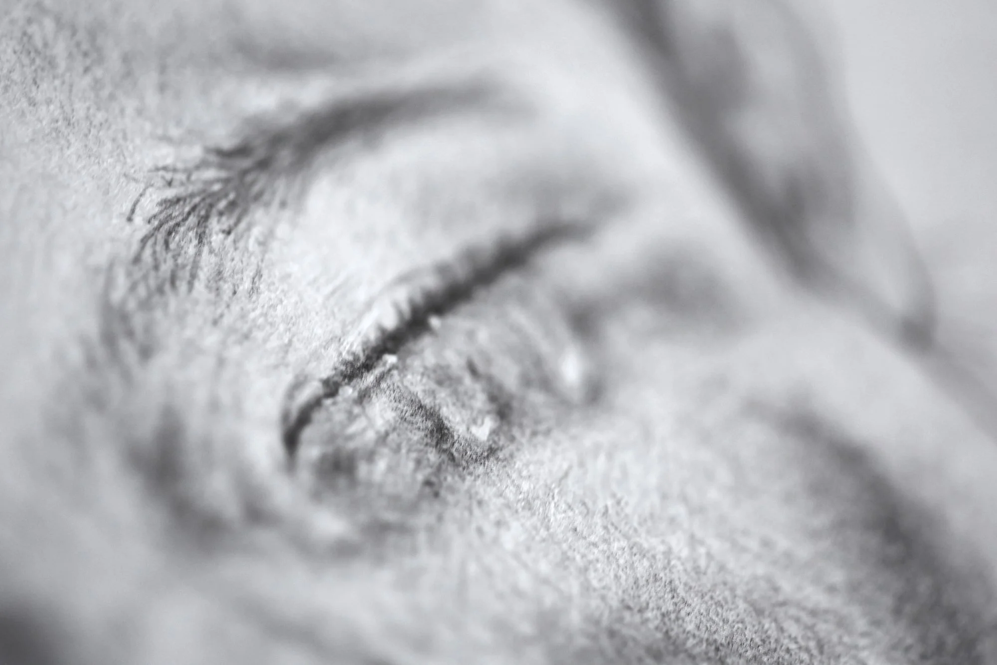 14-Cry Baby - Björk Detail 4-min.jpg