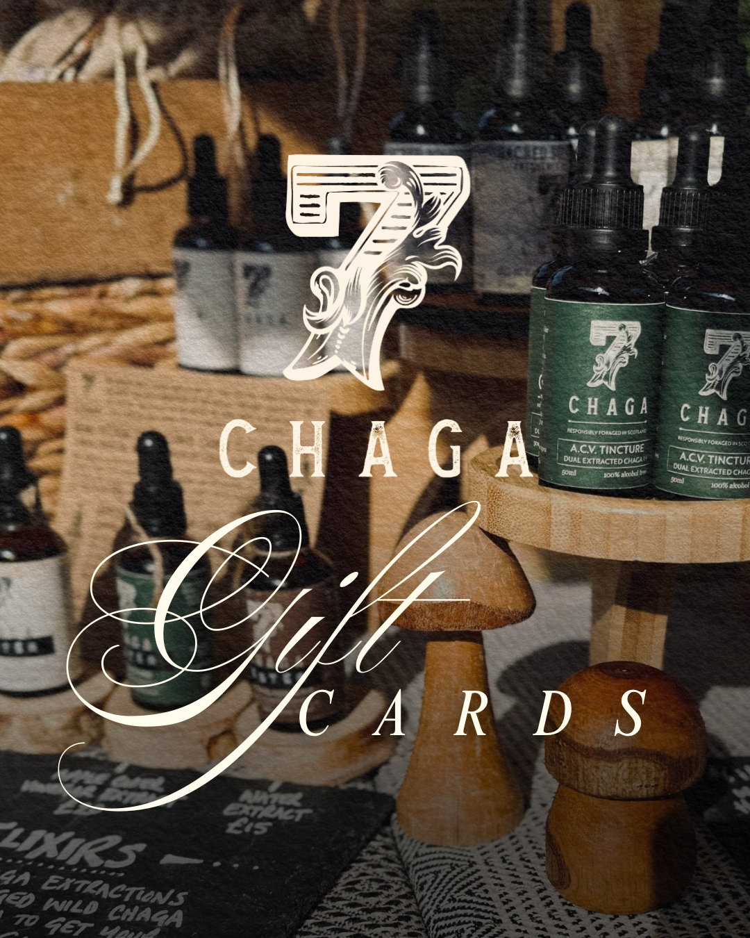 CHAGA INSTA POSTS.png