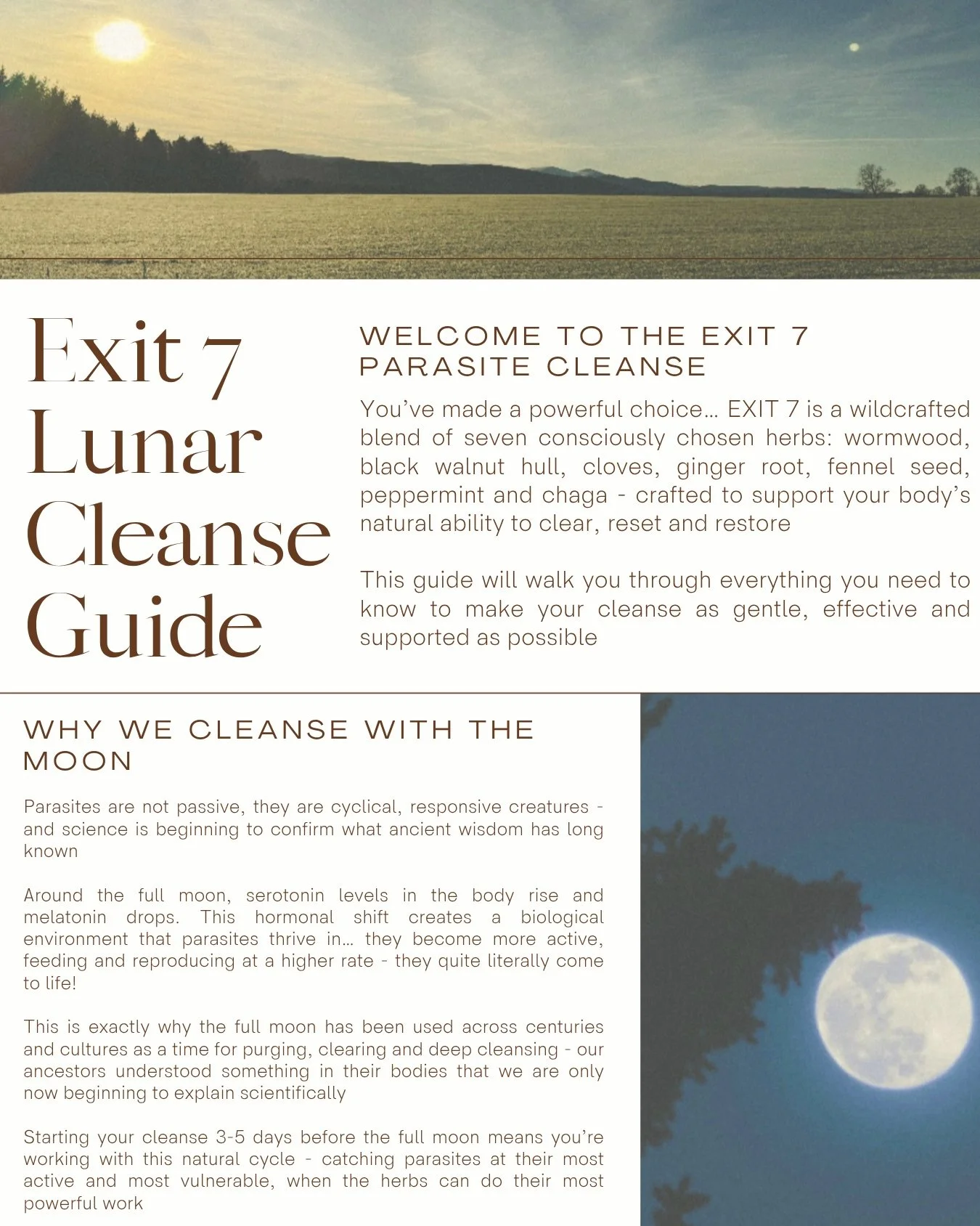 Exit 7 Cleanse PDF - 1.jpeg