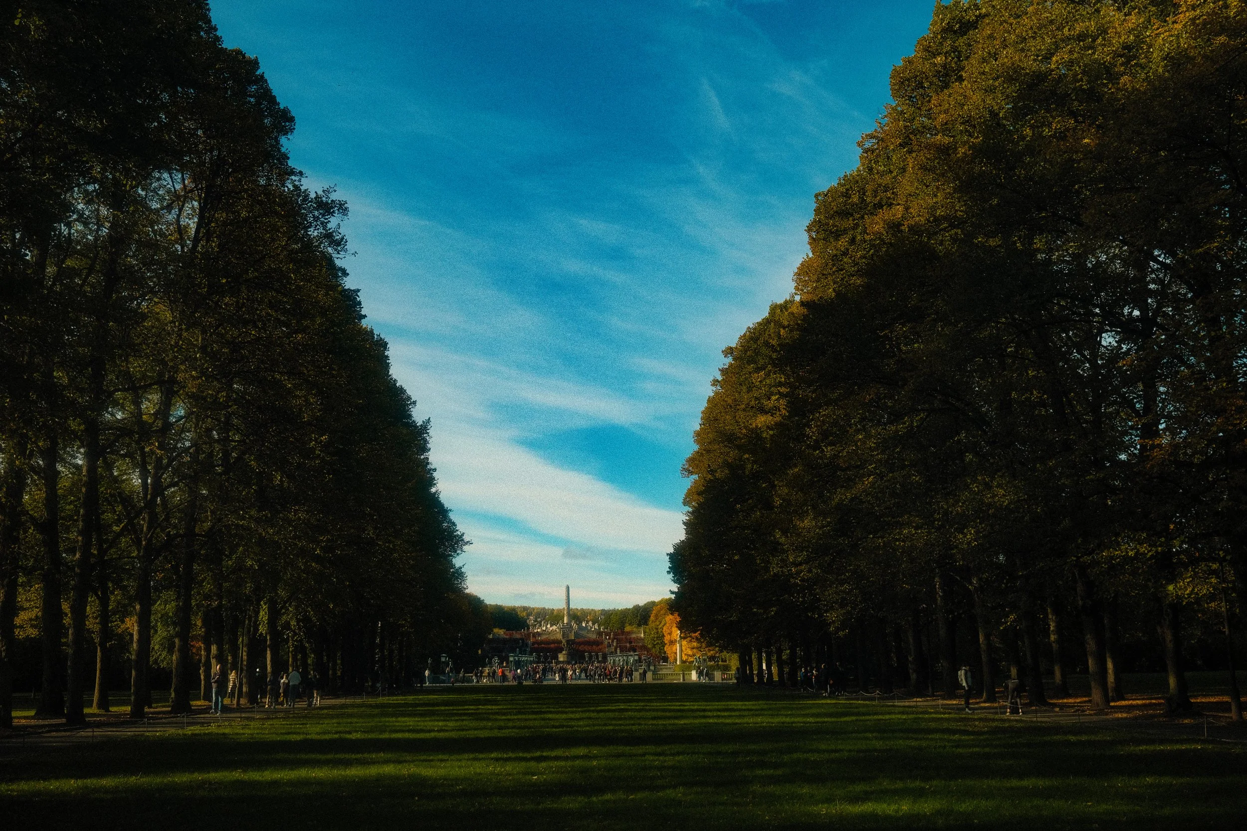 DSCF7721.jpg