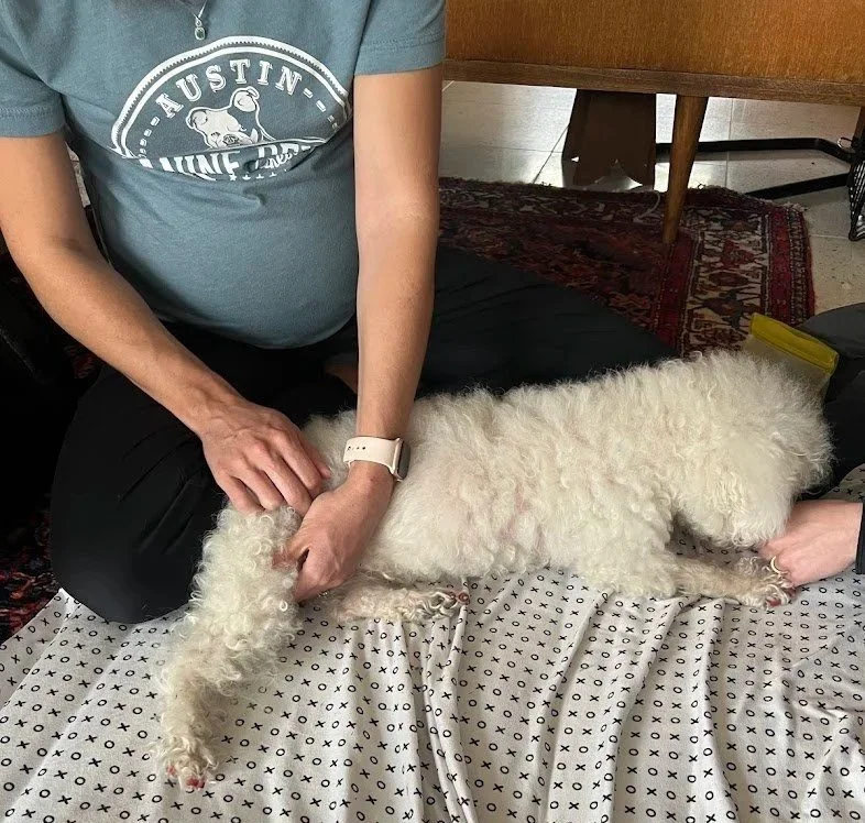 therapist with dog