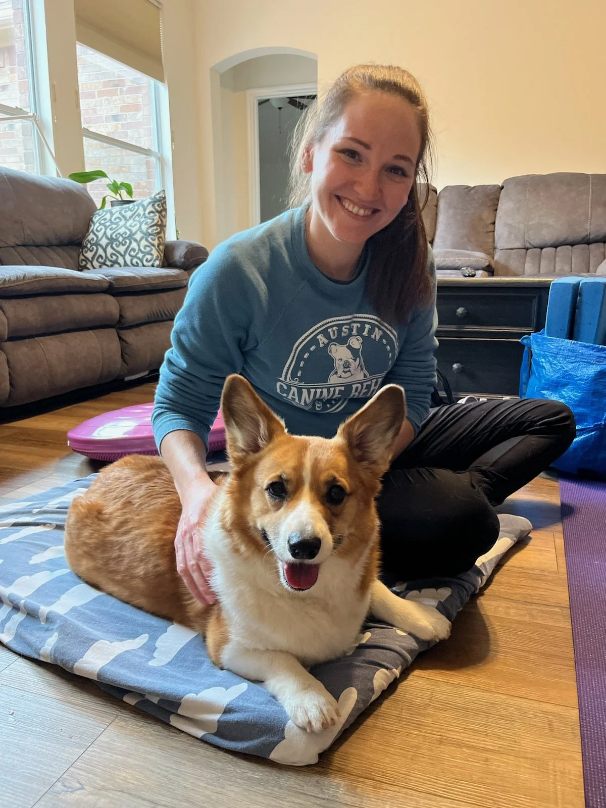 A Corgi Owner’s Guide to IVDD and Back Issues