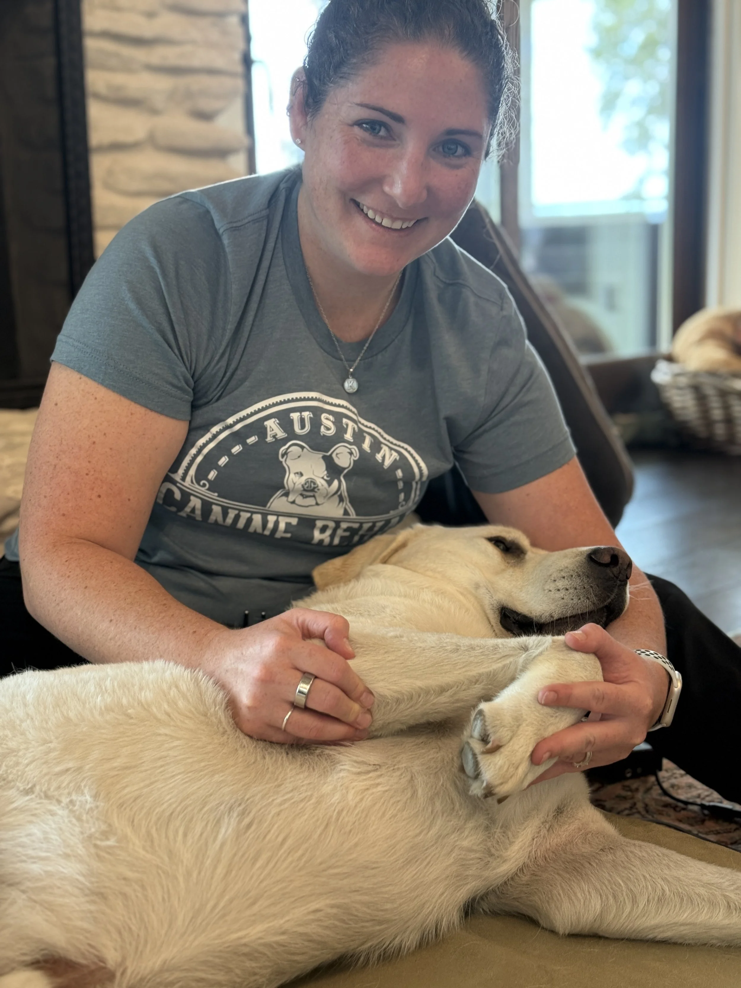 Why a CCRT? Understanding Training, Credentials, &amp; Canine Rehab Care