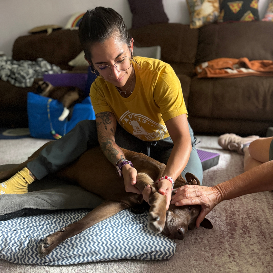 Acupuncture, Chiropractic, Laser Therapy, and Rehab: How Do They Work Together?