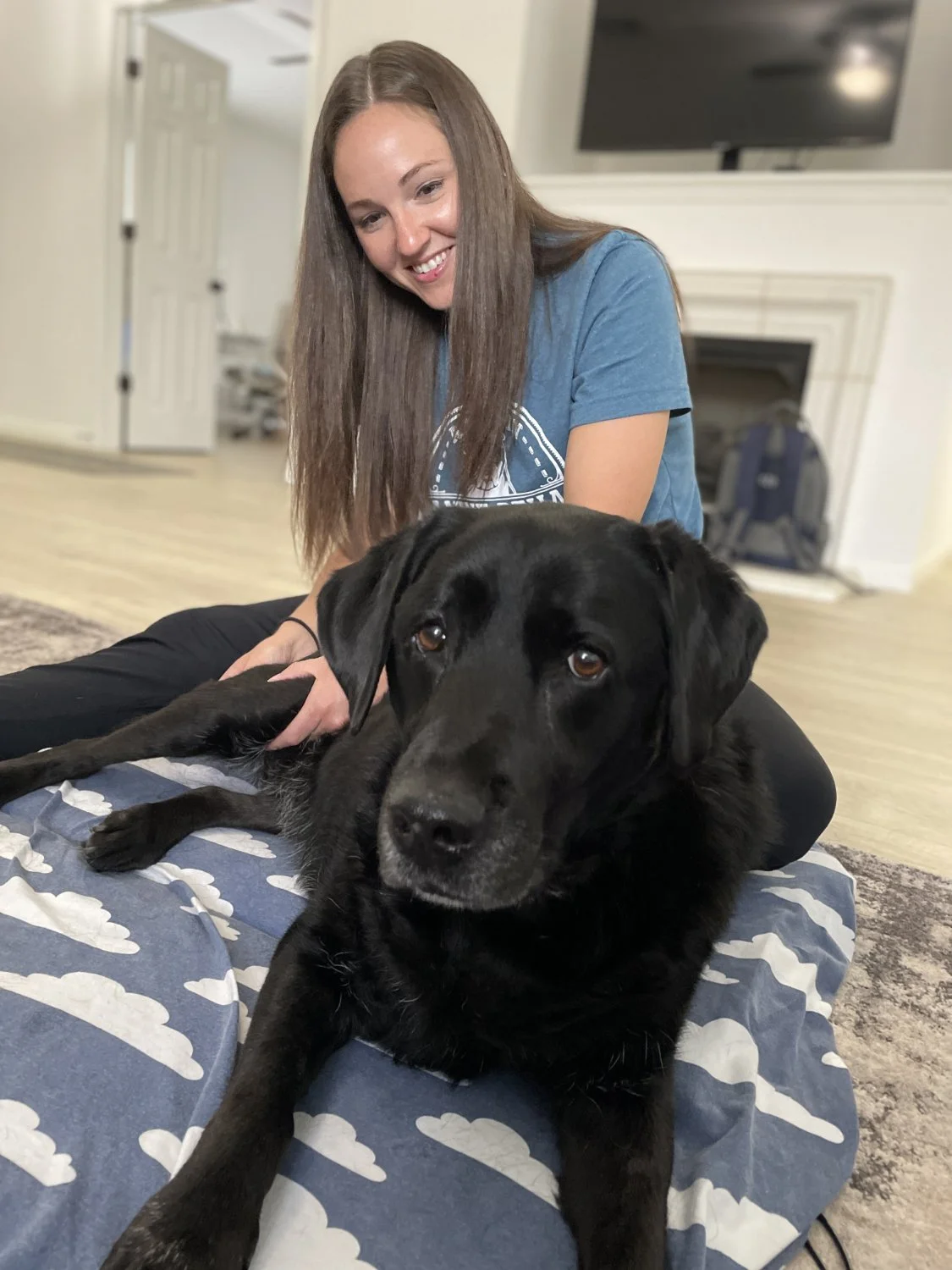dog with therapist